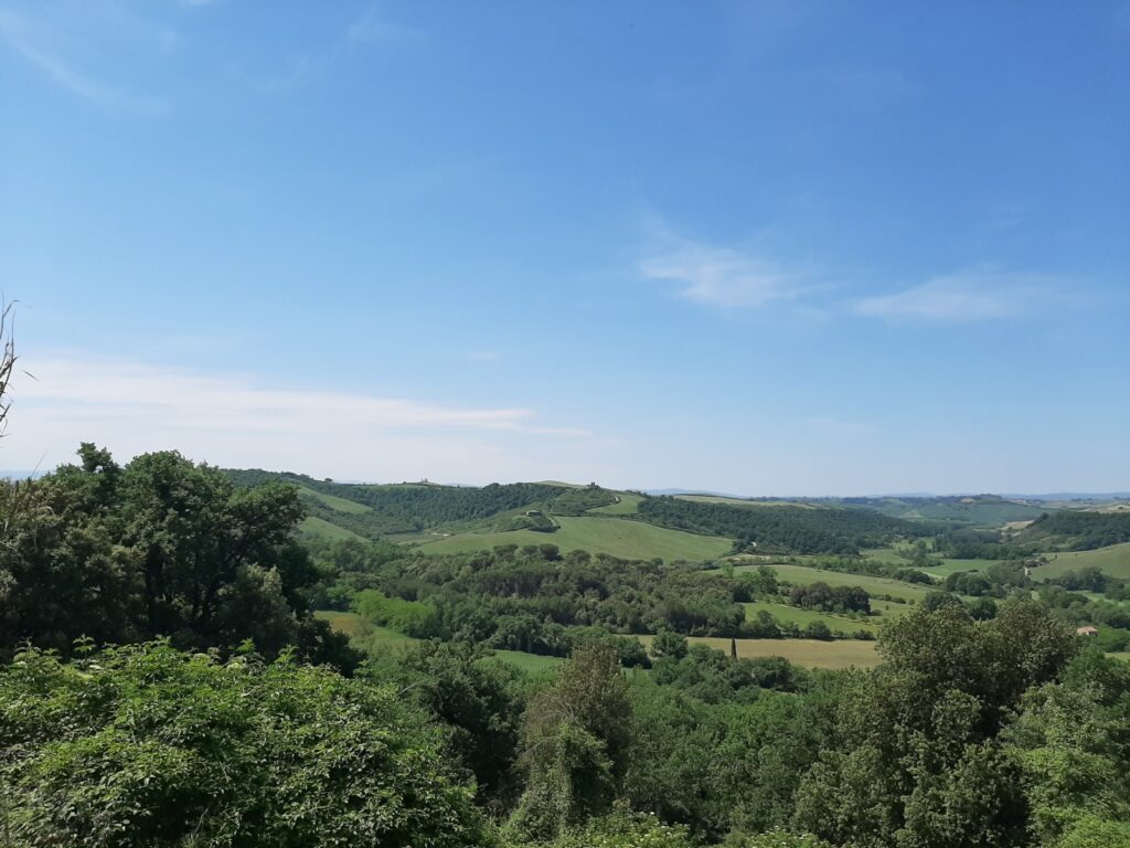 Panorama